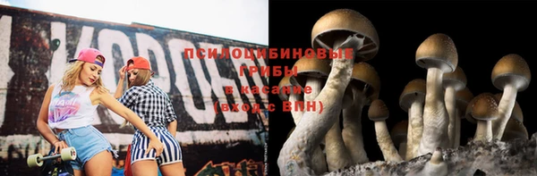 МДПВ Волосово