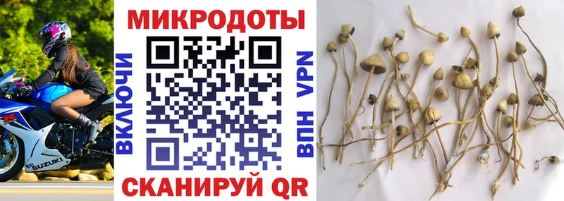 Галлюциногенные грибы Magic Shrooms  Купить  Сосенский 